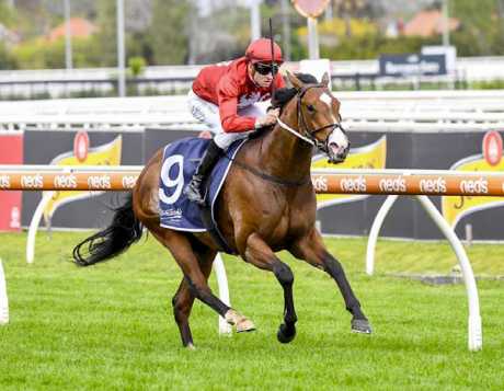 ANZ: Canning Downs soaking up Extreme experience with exciting Blue Sapphire winner 
