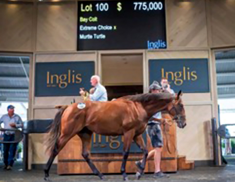 Extreme Choice colt sets Classic record on strong first day of vibrant trade