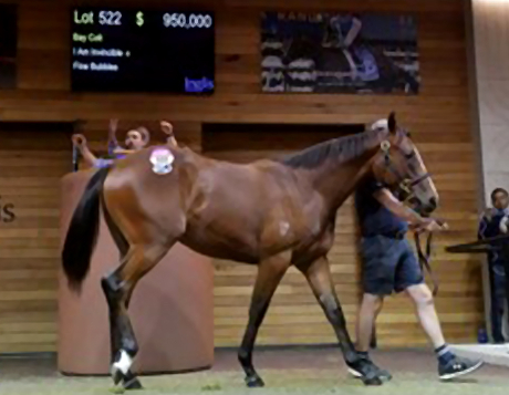 Coolmore hoping lightning can strike twice with $950,000 I Am Invincible colt