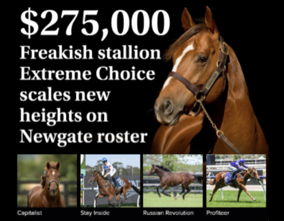 $275,000 Freakish stallion Extreme Choice 